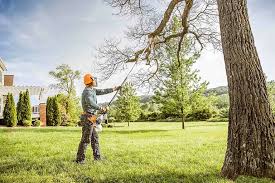 Best Tree Mulching  in Hapeville, GA